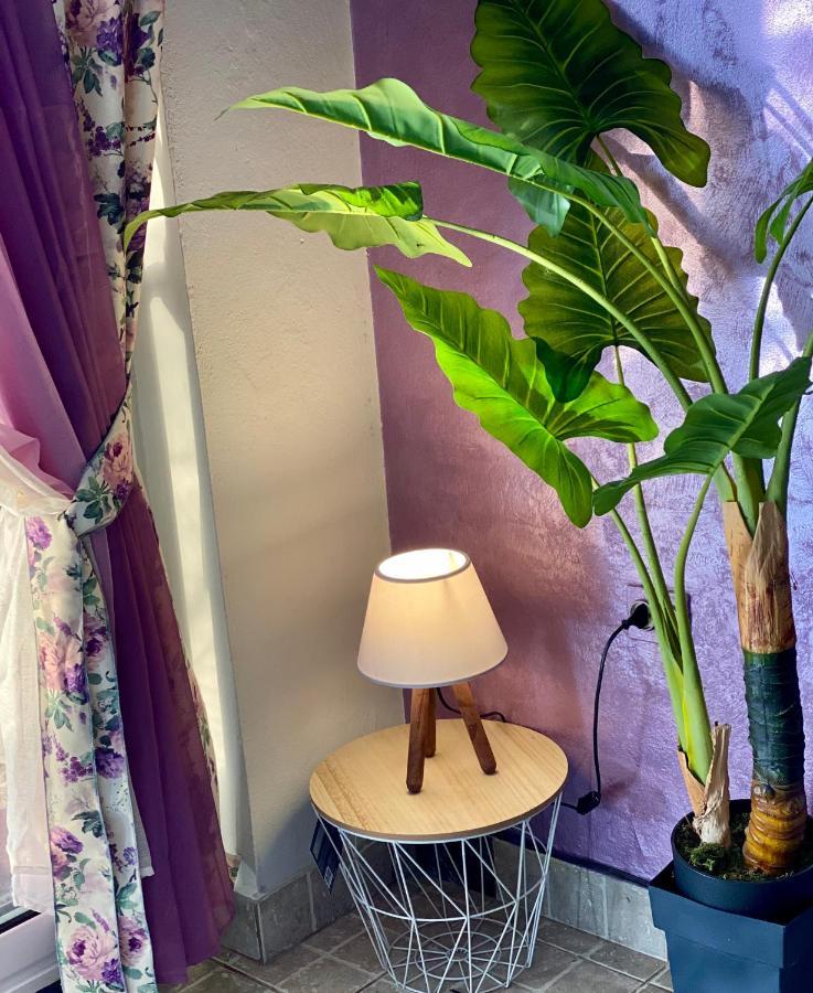 Apartmani Maxim Cattaro Esterno foto